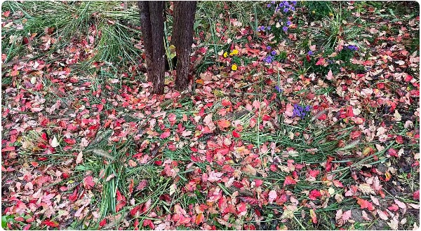 1761926140854079882.jpg 5.jpg