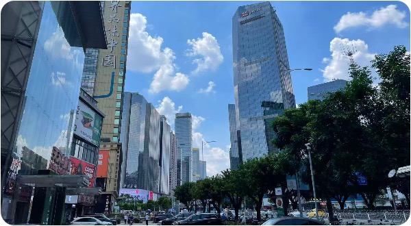 1766503485287025575.jpg 2.jpg